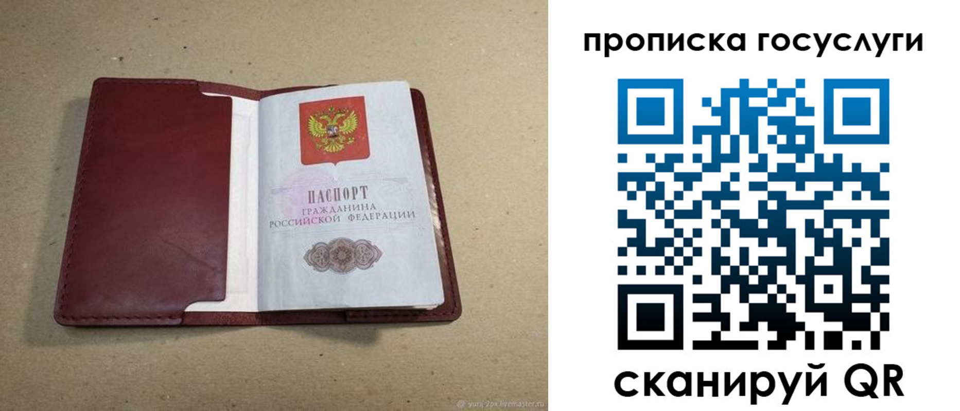 прописка поиск в Камчатском крае